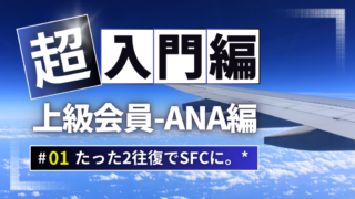 ２往復*でANAで半永久的に上級会員になるには？子供や配偶者にもステイタス付与も。